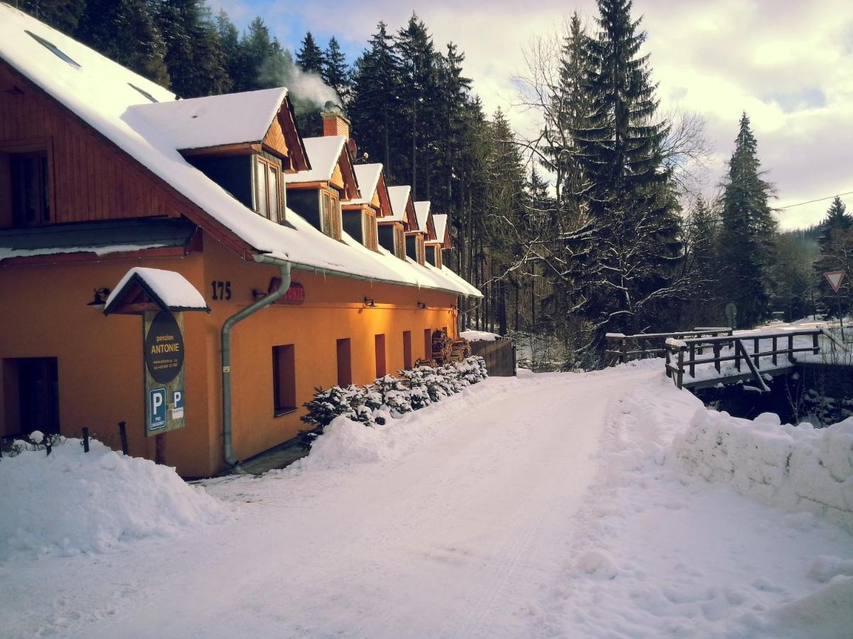 Penzion Antonie Mala Moravka Exterior photo